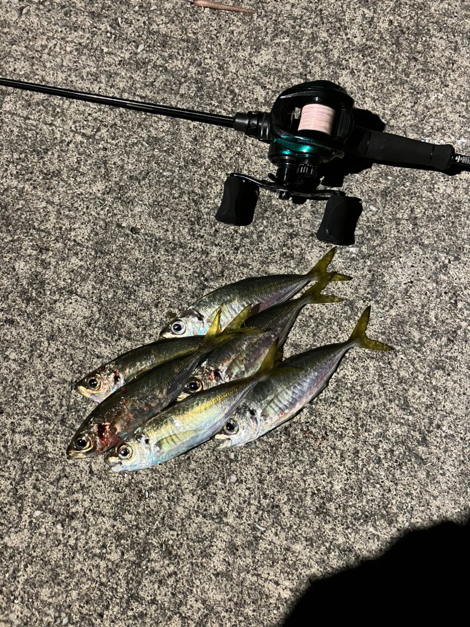 AbuGarcia ソルティーステージ プロトタイプ ベイトフィネス XAJC