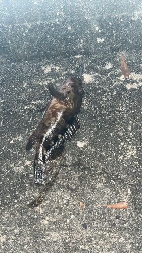 東部浄化センター（広島市）