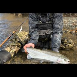 スチールヘッド