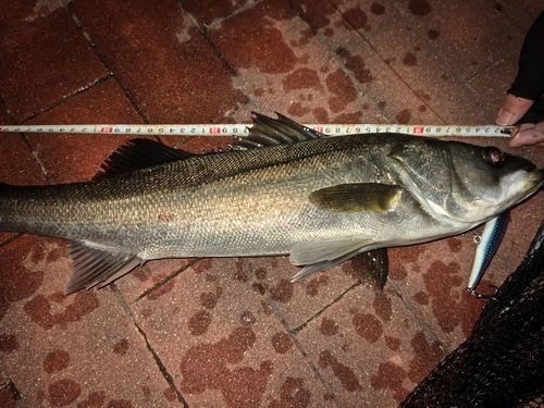 豊洲ぐるり公園