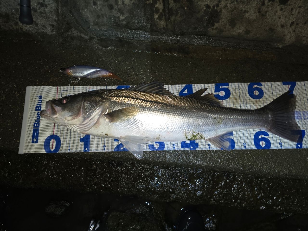 APIA グランデージ スタンダード 96MHの最安値・インプレ・釣果 | 本音