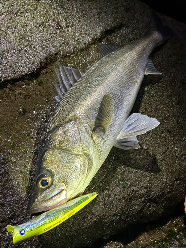 ディズニーリゾート付近