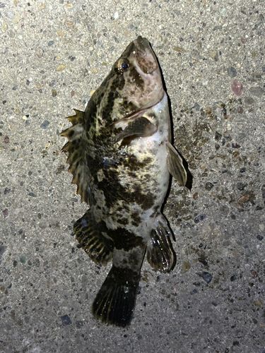 新舞子マリンパーク