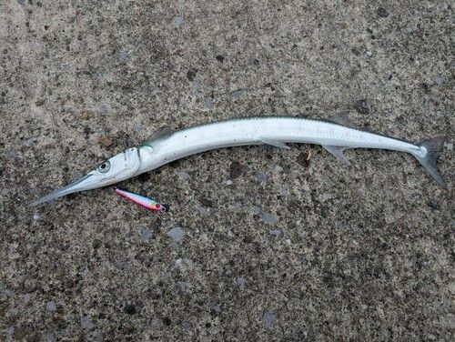 みやざき臨海公園