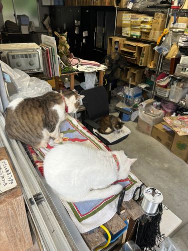 すそのフィッシングパーク