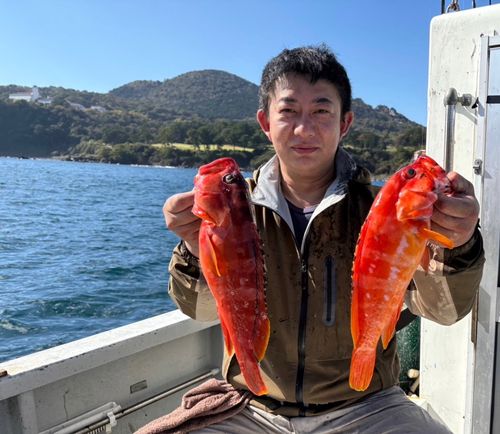 アカハタの釣果