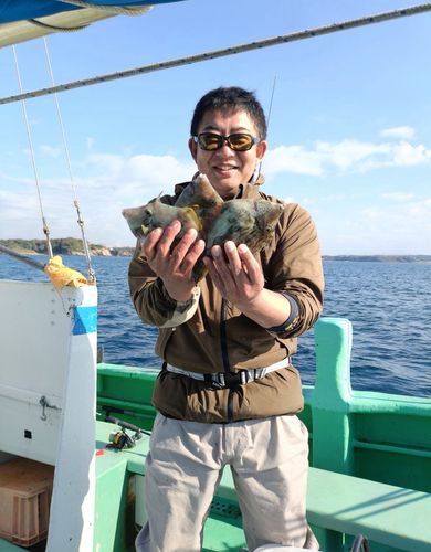 カワハギの釣果