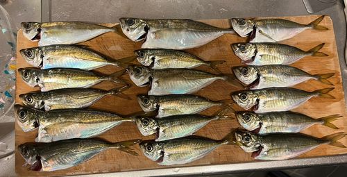 本牧海づり施設