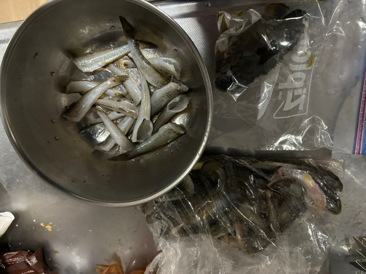 たもしんさんの釣果 1枚目の画像