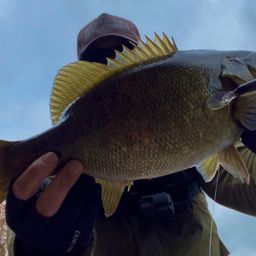 スモールマウスバス