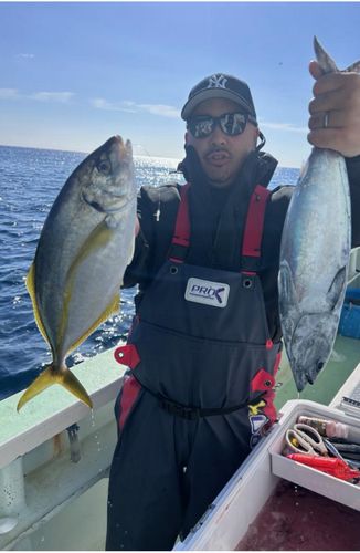 シマアジの釣果