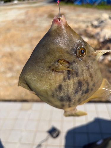 ベイサイドビーチ坂