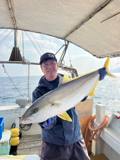 ヒラマサの釣果