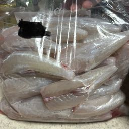 ショウサイフグ