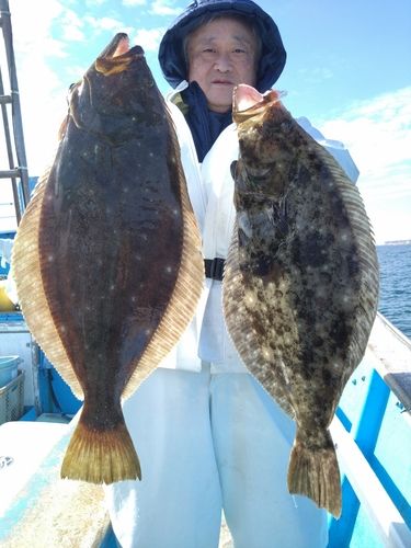 ヒラメの釣果