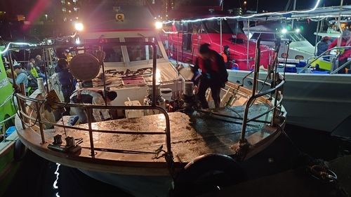 タチウオの釣果