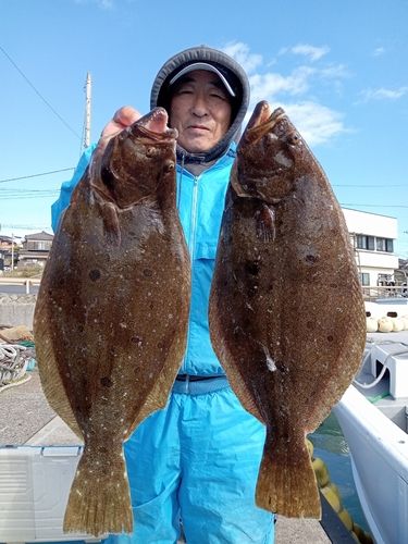 ヒラメの釣果
