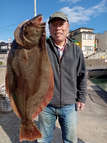 ヒラメの釣果