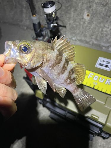 小名浜港アクアマリンふくしま周辺