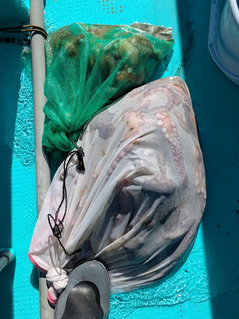 釣りバカじいさんさんの釣果 2枚目の画像