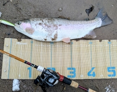 ニジマスの釣果