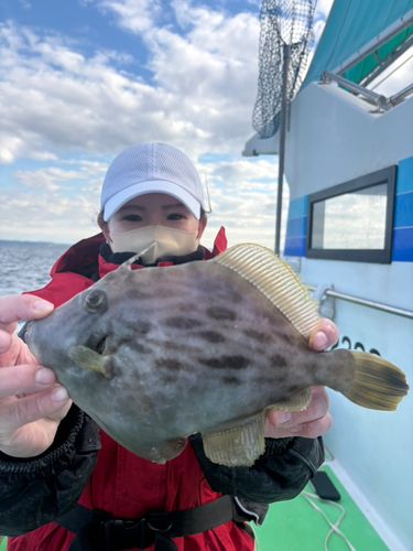 カワハギの釣果