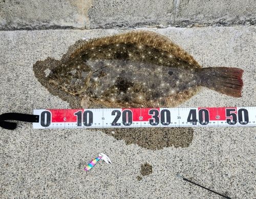 大浜漁港（宮戸島）