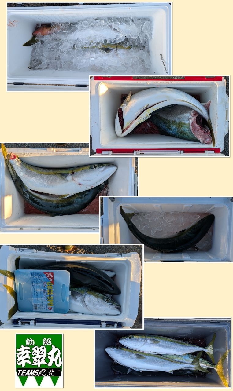 幸翠丸さんの釣果 2枚目の画像