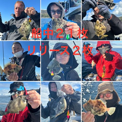 カワハギの釣果