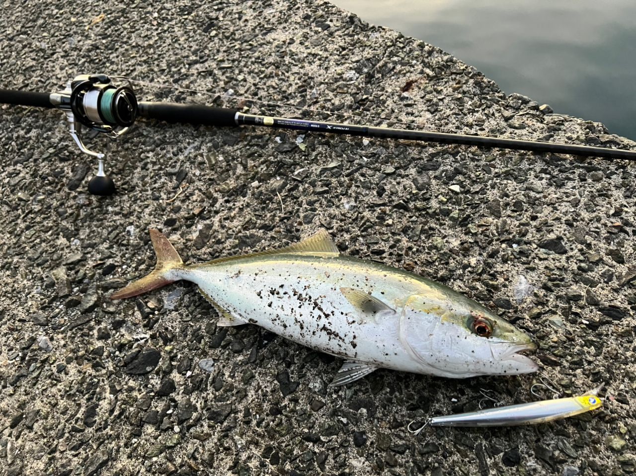 SHIMANO 21コルトスナイパーBB S100Mの最安値・インプレ・釣果 | 本音