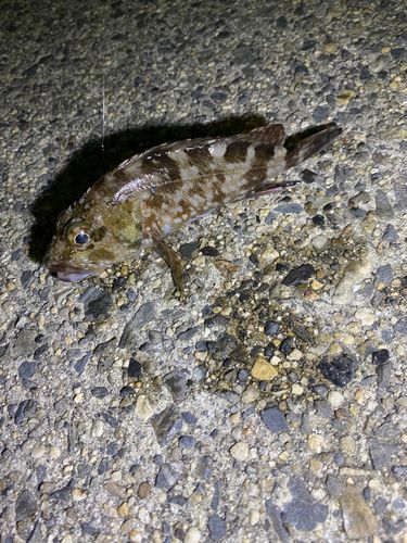 白子漁港（三重）