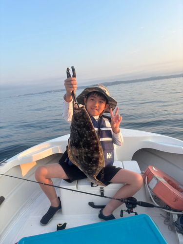 ヒラメの釣果