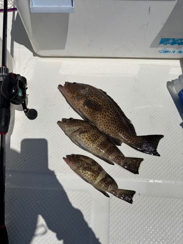 葉山釣り具センター付近