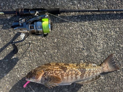 三陸海岸（岩手）