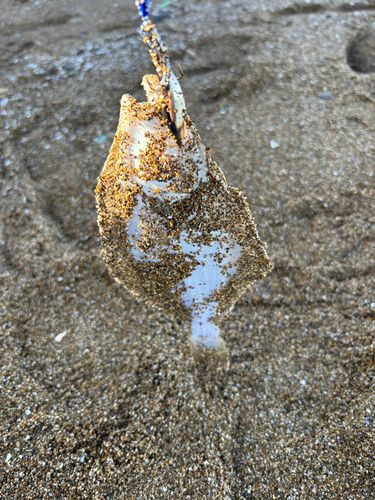 塩屋海岸（石川）