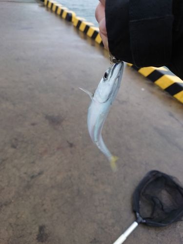 秋田火力発電所前