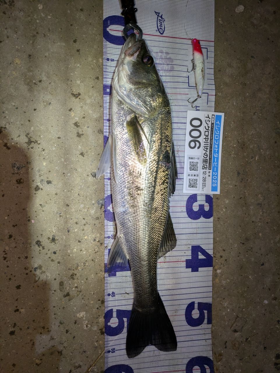 SHIMANO 18ディアルーナ S86MLの最安値・インプレ・釣果 | 本音の