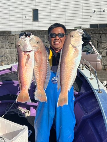 シロアマダイの釣果