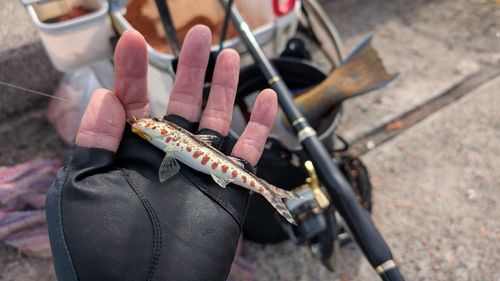 鴨池海づり公園