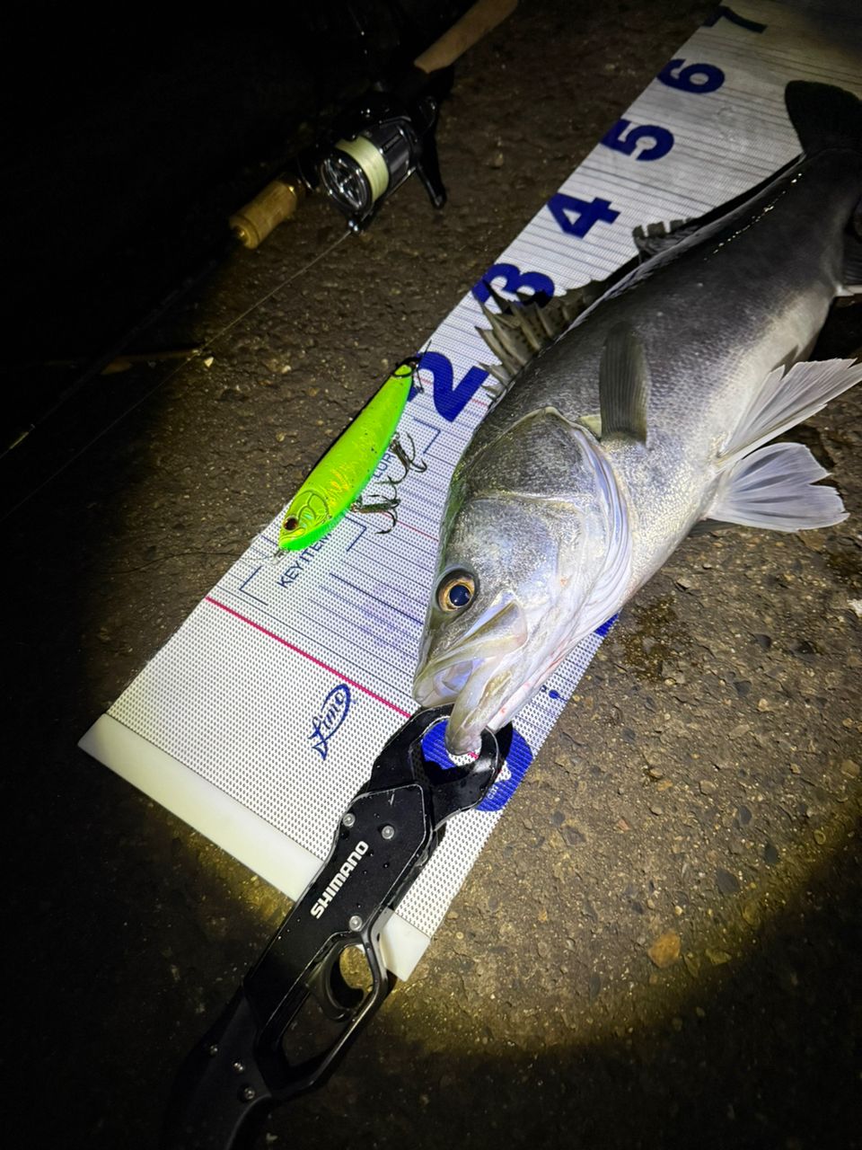 SHIMANO 23ヴァンキッシュ C3000MHGの最安値・インプレ・釣果 | 本音の