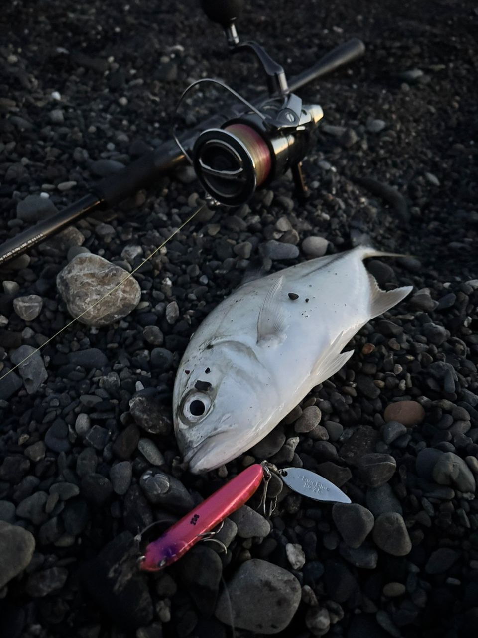 SHIMANO 23ディアルーナ S96MLの最安値・インプレ・釣果 | 本音の