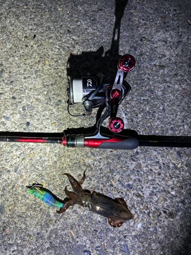 千葉港中央埠頭