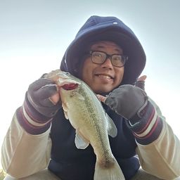 ラージマウスバス