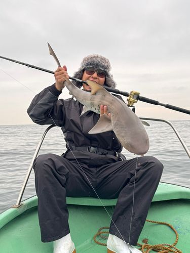 東京湾（アクアライン以北）