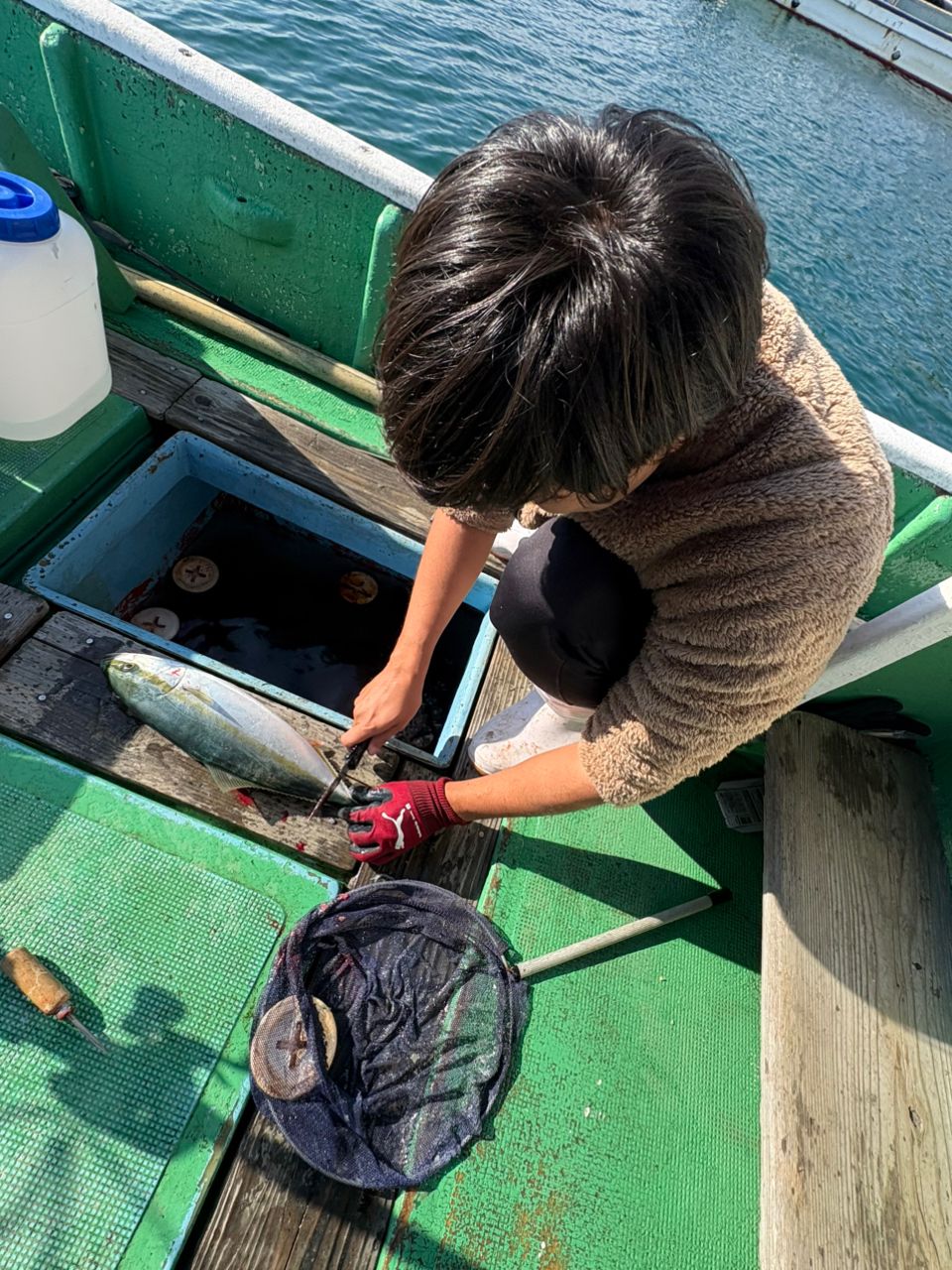 こじマグロさんの釣果 3枚目の画像