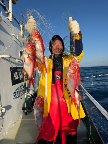キンメダイの釣果