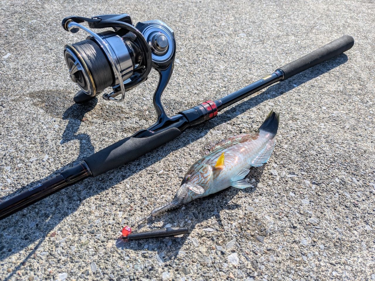 DAIWA 19HRF® (ハードロックフィッシュ) AGS 96M/MHの最安値・インプレ