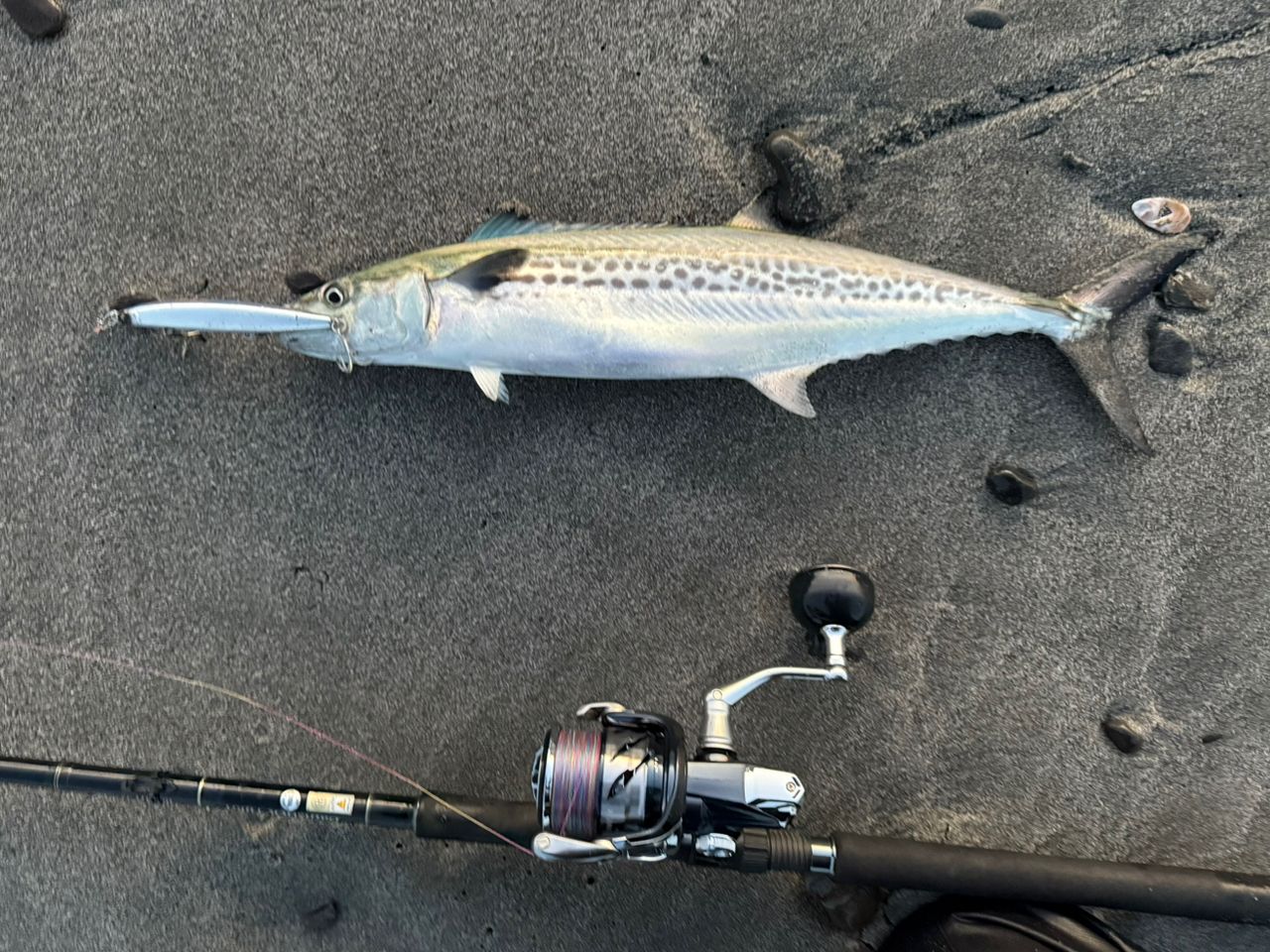 値下げしました。バリスティックヒラ107MH TZ NANO YAMAGA Blanks バリスティックヒラ TZ ナノ 107MHの最安値・インプレ