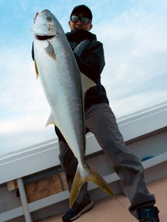 ヒラマサの釣果