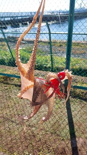 大黒海づり施設